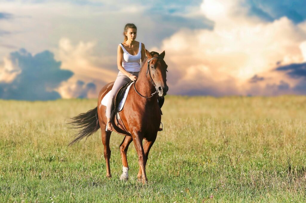 junge Frau reitet auf Pferd Wiese Ausritt Pferde anziehen und Verbindung zum Pferd verbessern