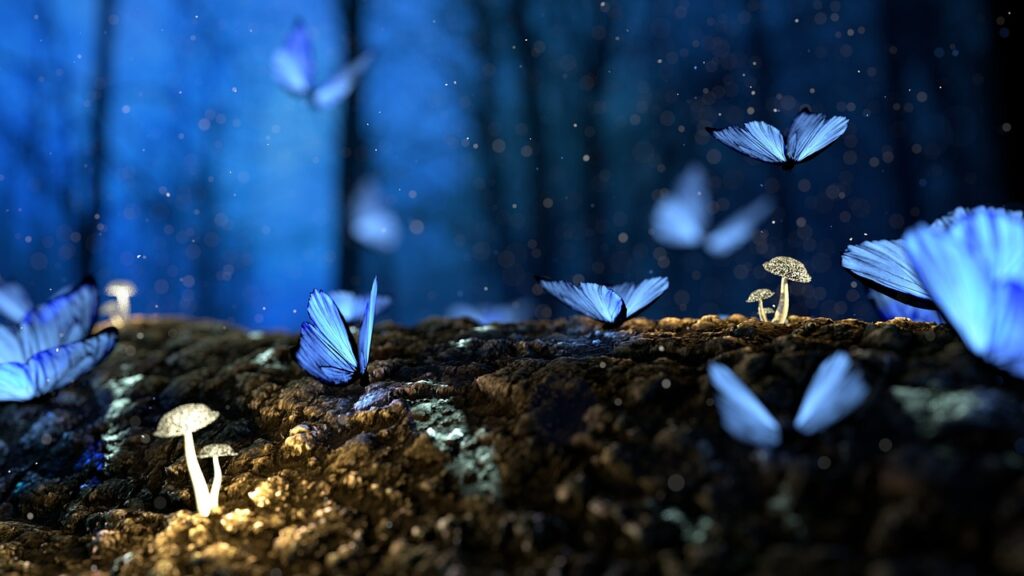 Fantasie Schmetterlinge Wald Träume und Ziele finden und verwirklichen